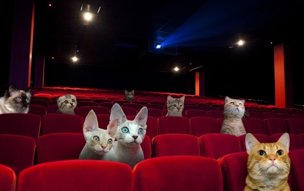 Quiz Can You Guess The Movie Title By Its Spanish Translation
