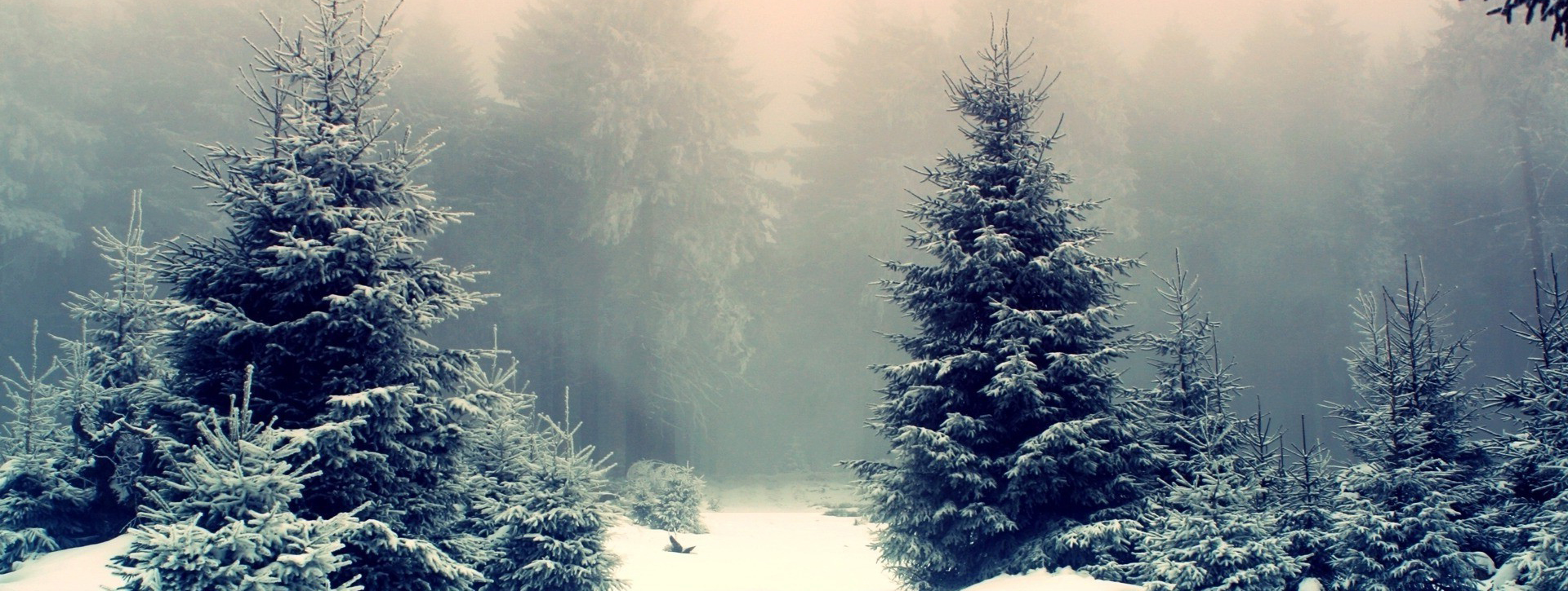 Christmas Landscape Pictures